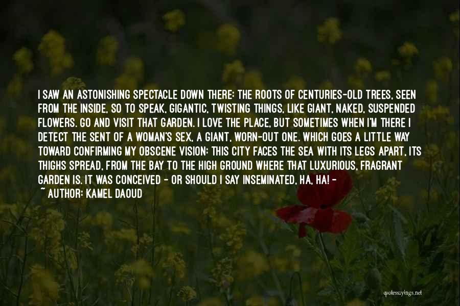 Kamel Daoud Quotes: I Saw An Astonishing Spectacle Down There: The Roots Of Centuries-old Trees, Seen From The Inside, So To Speak, Gigantic,