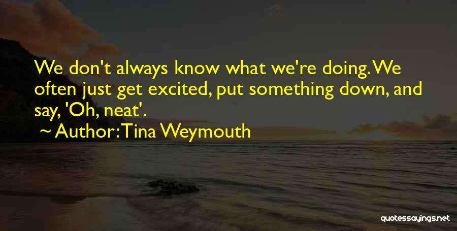 Tina Weymouth Quotes: We Don't Always Know What We're Doing. We Often Just Get Excited, Put Something Down, And Say, 'oh, Neat'.