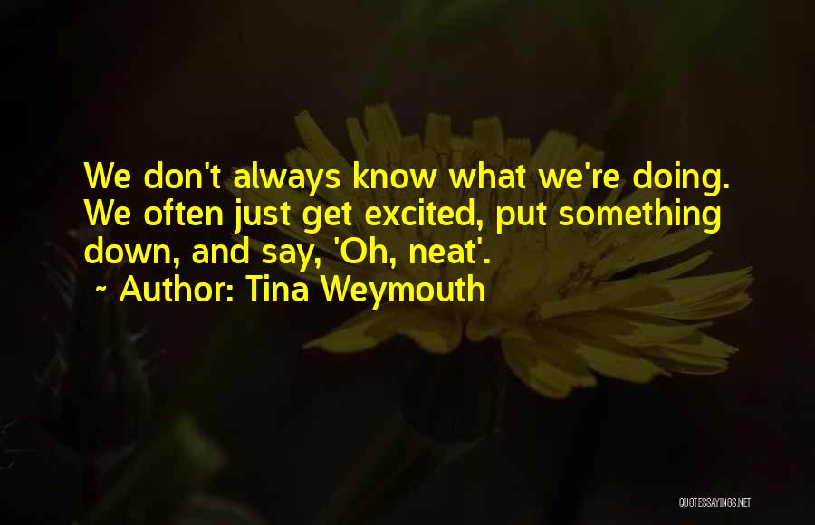 Tina Weymouth Quotes: We Don't Always Know What We're Doing. We Often Just Get Excited, Put Something Down, And Say, 'oh, Neat'.