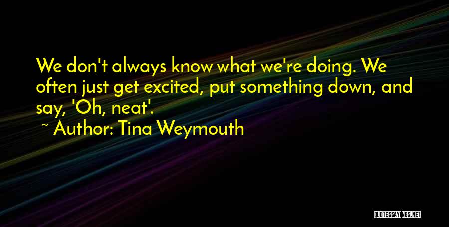 Tina Weymouth Quotes: We Don't Always Know What We're Doing. We Often Just Get Excited, Put Something Down, And Say, 'oh, Neat'.