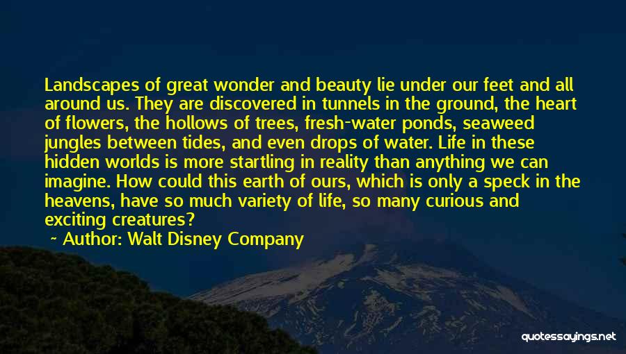 Walt Disney Company Quotes: Landscapes Of Great Wonder And Beauty Lie Under Our Feet And All Around Us. They Are Discovered In Tunnels In