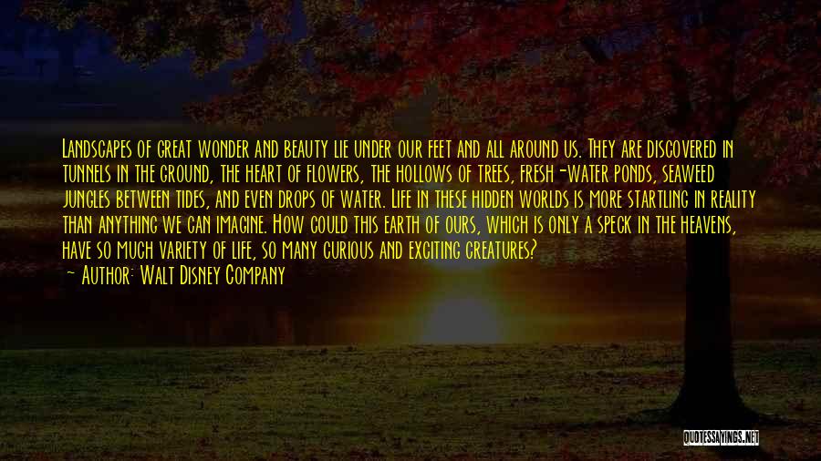 Walt Disney Company Quotes: Landscapes Of Great Wonder And Beauty Lie Under Our Feet And All Around Us. They Are Discovered In Tunnels In