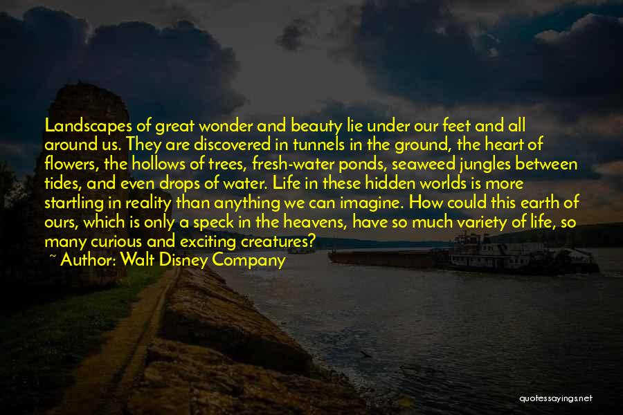 Walt Disney Company Quotes: Landscapes Of Great Wonder And Beauty Lie Under Our Feet And All Around Us. They Are Discovered In Tunnels In