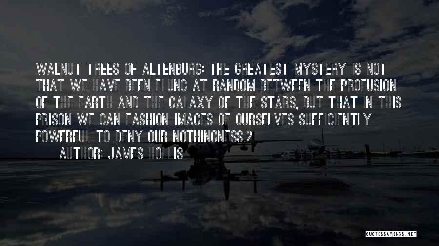 James Hollis Quotes: Walnut Trees Of Altenburg: The Greatest Mystery Is Not That We Have Been Flung At Random Between The Profusion Of