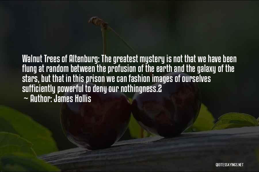 James Hollis Quotes: Walnut Trees Of Altenburg: The Greatest Mystery Is Not That We Have Been Flung At Random Between The Profusion Of