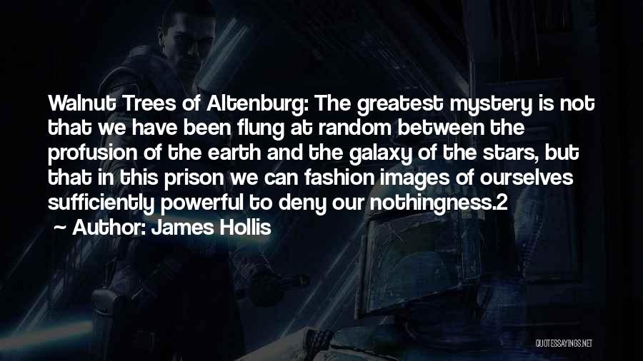 James Hollis Quotes: Walnut Trees Of Altenburg: The Greatest Mystery Is Not That We Have Been Flung At Random Between The Profusion Of
