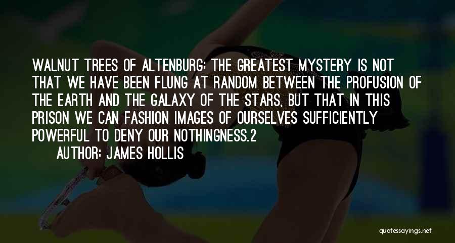 James Hollis Quotes: Walnut Trees Of Altenburg: The Greatest Mystery Is Not That We Have Been Flung At Random Between The Profusion Of