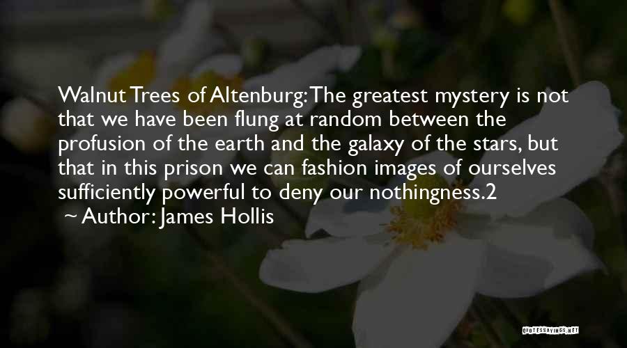 James Hollis Quotes: Walnut Trees Of Altenburg: The Greatest Mystery Is Not That We Have Been Flung At Random Between The Profusion Of