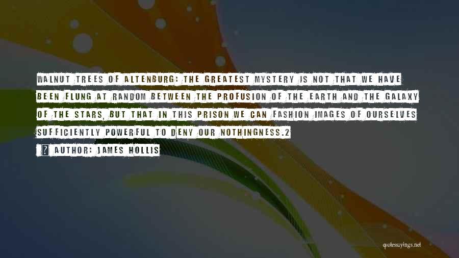 James Hollis Quotes: Walnut Trees Of Altenburg: The Greatest Mystery Is Not That We Have Been Flung At Random Between The Profusion Of