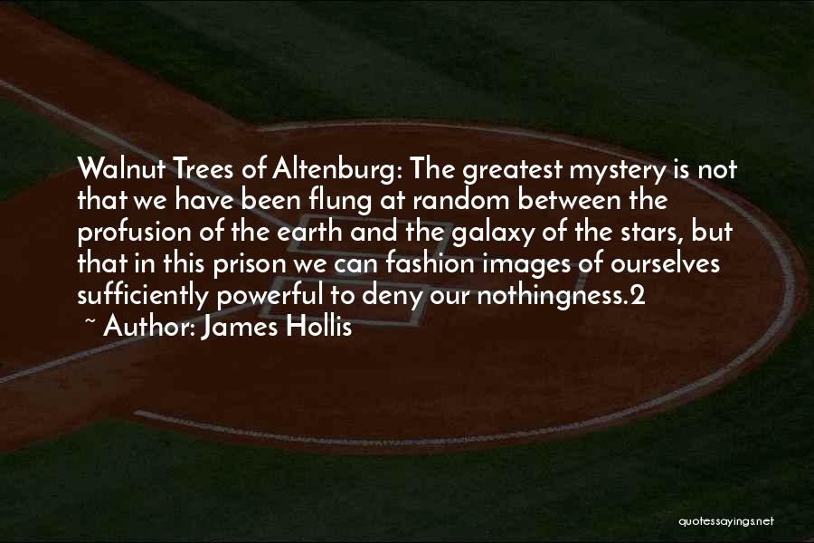 James Hollis Quotes: Walnut Trees Of Altenburg: The Greatest Mystery Is Not That We Have Been Flung At Random Between The Profusion Of