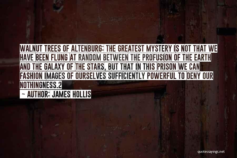 James Hollis Quotes: Walnut Trees Of Altenburg: The Greatest Mystery Is Not That We Have Been Flung At Random Between The Profusion Of