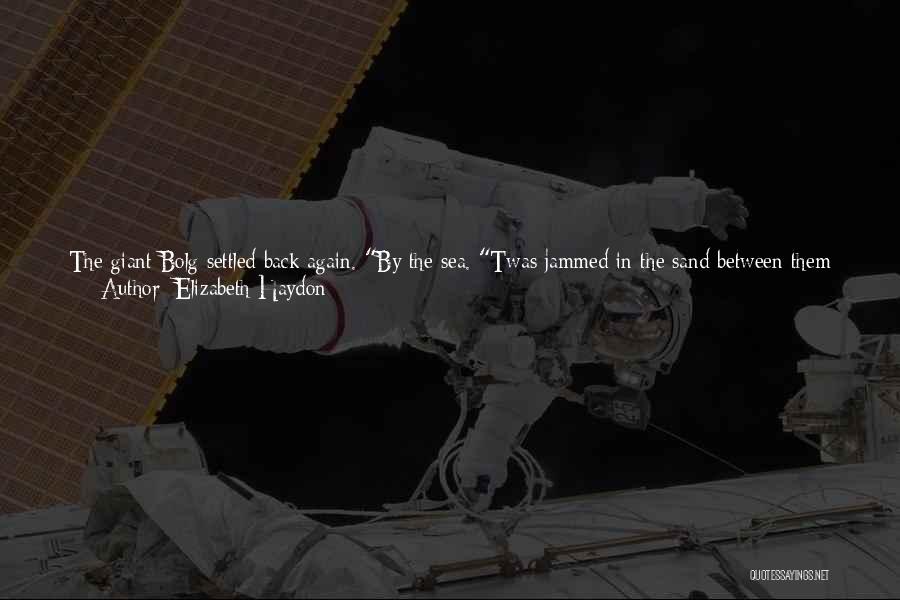 Elizabeth Haydon Quotes: The Giant Bolg Settled Back Again. By The Sea. Twas Jammed In The Sand Between Them Shipwrecks We Told You