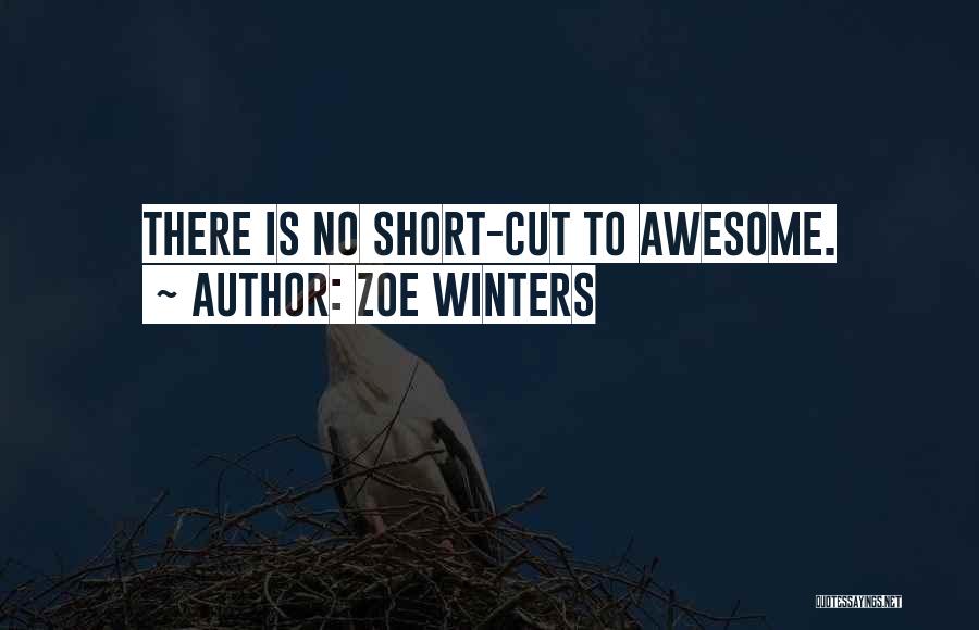 Zoe Winters Quotes: There Is No Short-cut To Awesome.
