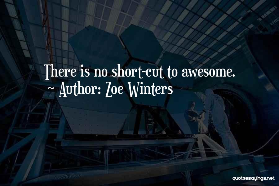 Zoe Winters Quotes: There Is No Short-cut To Awesome.