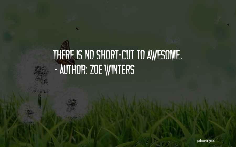 Zoe Winters Quotes: There Is No Short-cut To Awesome.