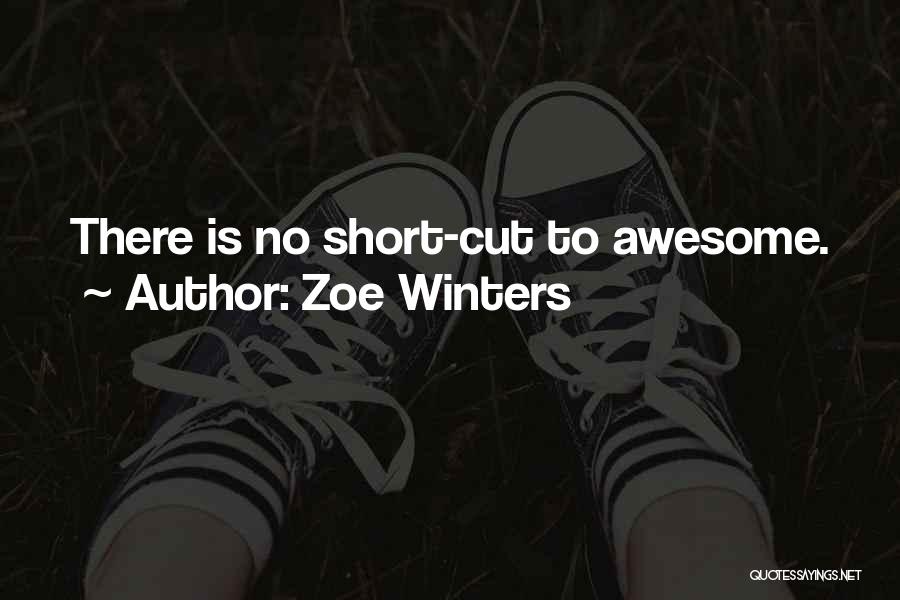Zoe Winters Quotes: There Is No Short-cut To Awesome.