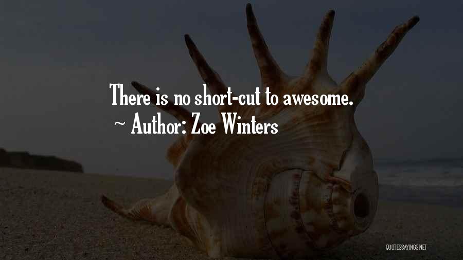 Zoe Winters Quotes: There Is No Short-cut To Awesome.