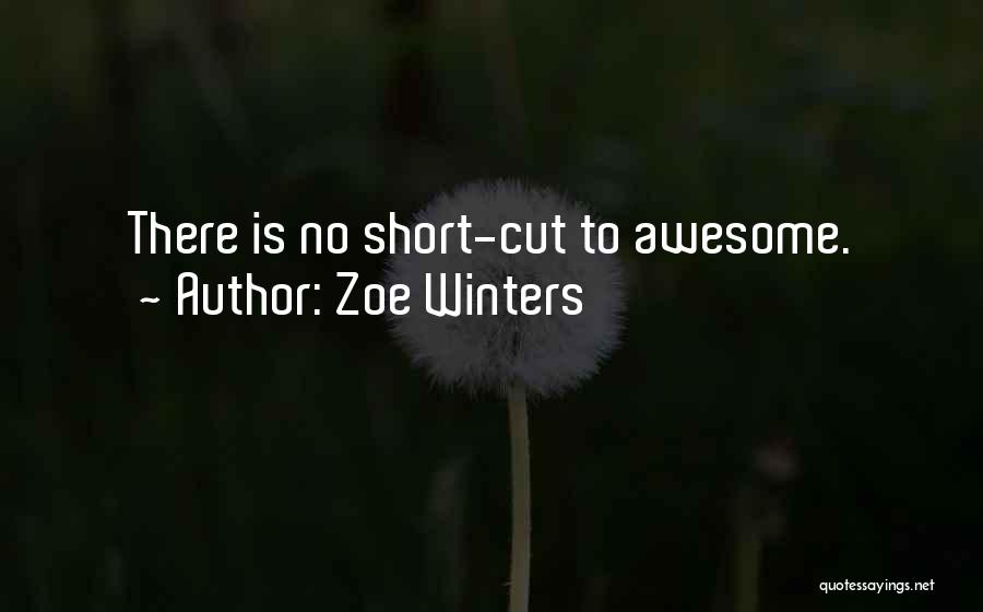 Zoe Winters Quotes: There Is No Short-cut To Awesome.