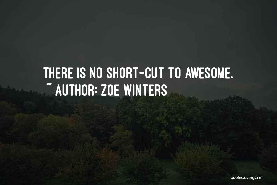 Zoe Winters Quotes: There Is No Short-cut To Awesome.
