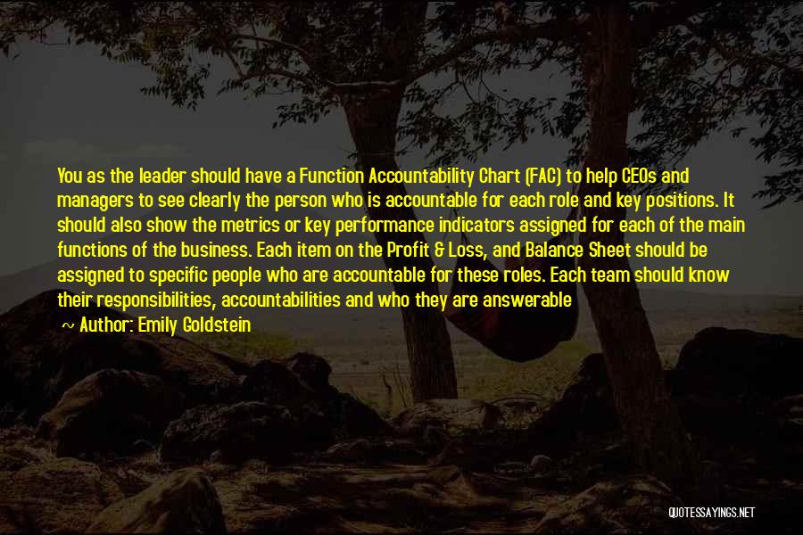 Emily Goldstein Quotes: You As The Leader Should Have A Function Accountability Chart (fac) To Help Ceos And Managers To See Clearly The