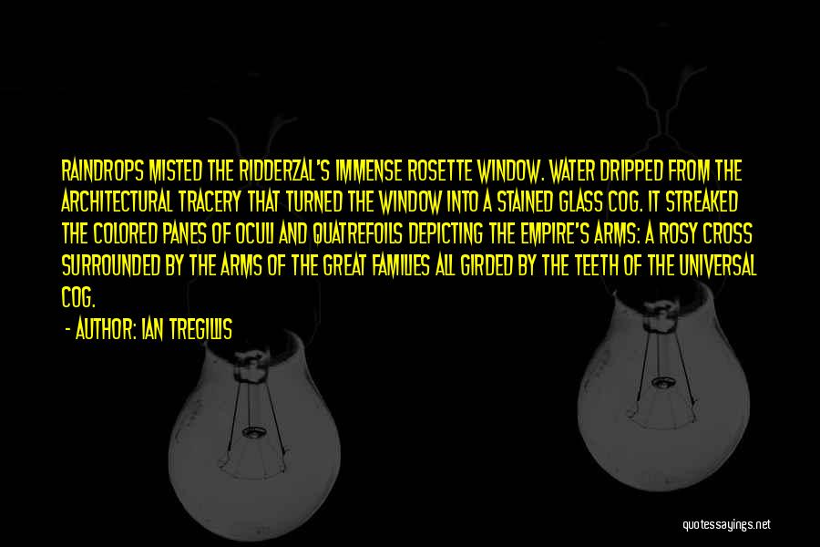 Ian Tregillis Quotes: Raindrops Misted The Ridderzal's Immense Rosette Window. Water Dripped From The Architectural Tracery That Turned The Window Into A Stained