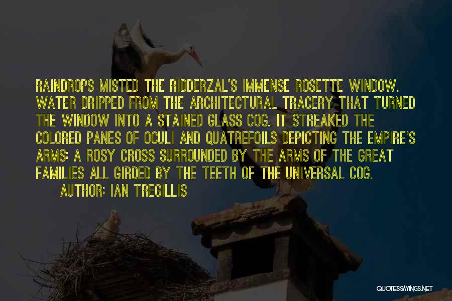 Ian Tregillis Quotes: Raindrops Misted The Ridderzal's Immense Rosette Window. Water Dripped From The Architectural Tracery That Turned The Window Into A Stained
