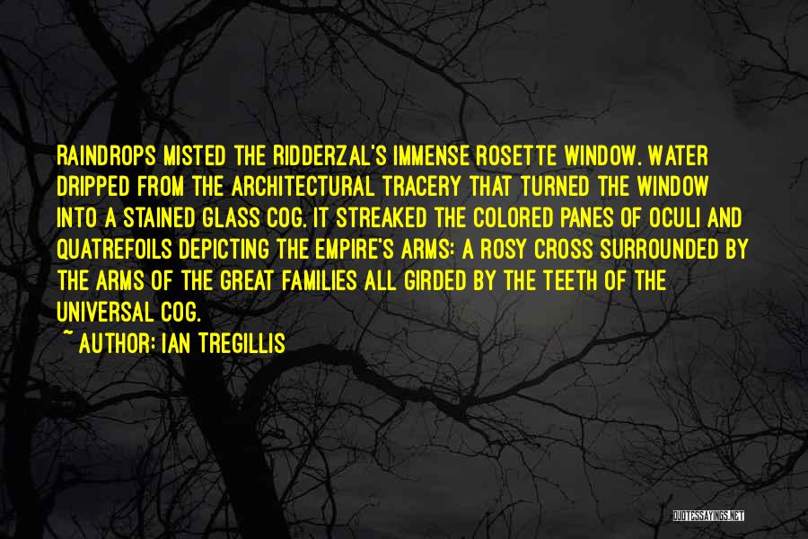 Ian Tregillis Quotes: Raindrops Misted The Ridderzal's Immense Rosette Window. Water Dripped From The Architectural Tracery That Turned The Window Into A Stained