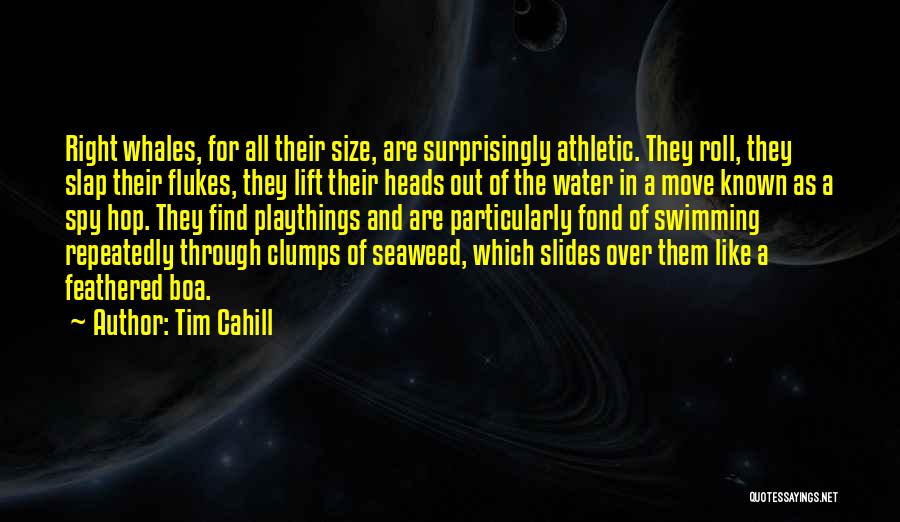 Tim Cahill Quotes: Right Whales, For All Their Size, Are Surprisingly Athletic. They Roll, They Slap Their Flukes, They Lift Their Heads Out