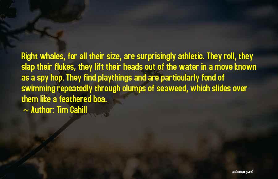 Tim Cahill Quotes: Right Whales, For All Their Size, Are Surprisingly Athletic. They Roll, They Slap Their Flukes, They Lift Their Heads Out