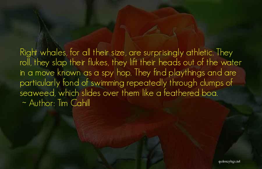 Tim Cahill Quotes: Right Whales, For All Their Size, Are Surprisingly Athletic. They Roll, They Slap Their Flukes, They Lift Their Heads Out