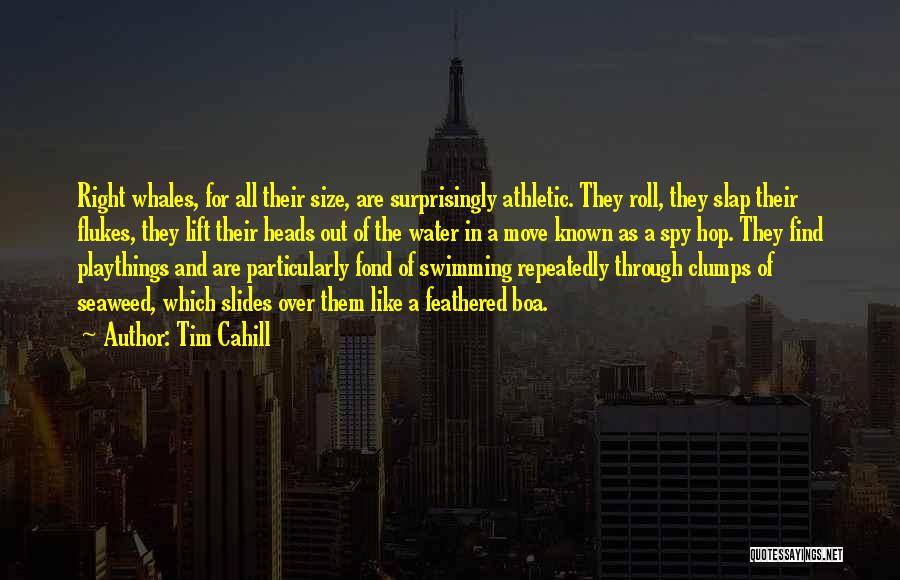Tim Cahill Quotes: Right Whales, For All Their Size, Are Surprisingly Athletic. They Roll, They Slap Their Flukes, They Lift Their Heads Out
