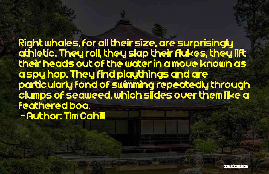 Tim Cahill Quotes: Right Whales, For All Their Size, Are Surprisingly Athletic. They Roll, They Slap Their Flukes, They Lift Their Heads Out