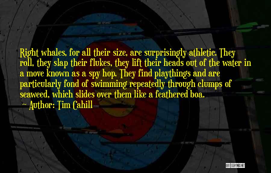 Tim Cahill Quotes: Right Whales, For All Their Size, Are Surprisingly Athletic. They Roll, They Slap Their Flukes, They Lift Their Heads Out