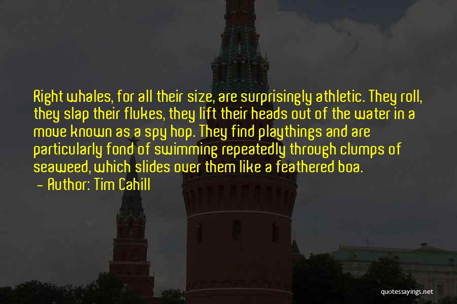 Tim Cahill Quotes: Right Whales, For All Their Size, Are Surprisingly Athletic. They Roll, They Slap Their Flukes, They Lift Their Heads Out