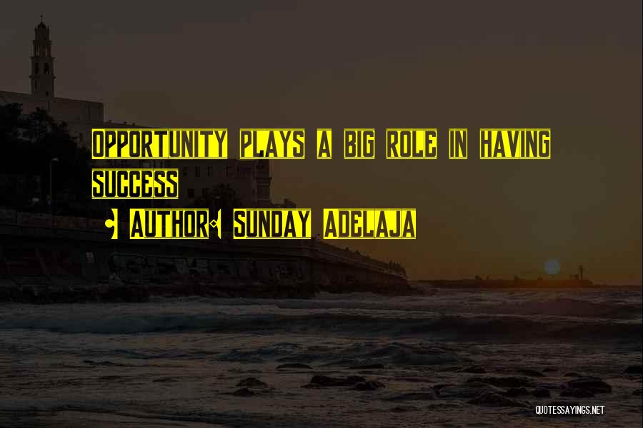 Sunday Adelaja Quotes: Opportunity Plays A Big Role In Having Success