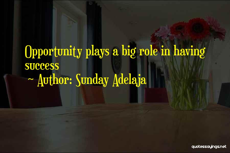Sunday Adelaja Quotes: Opportunity Plays A Big Role In Having Success