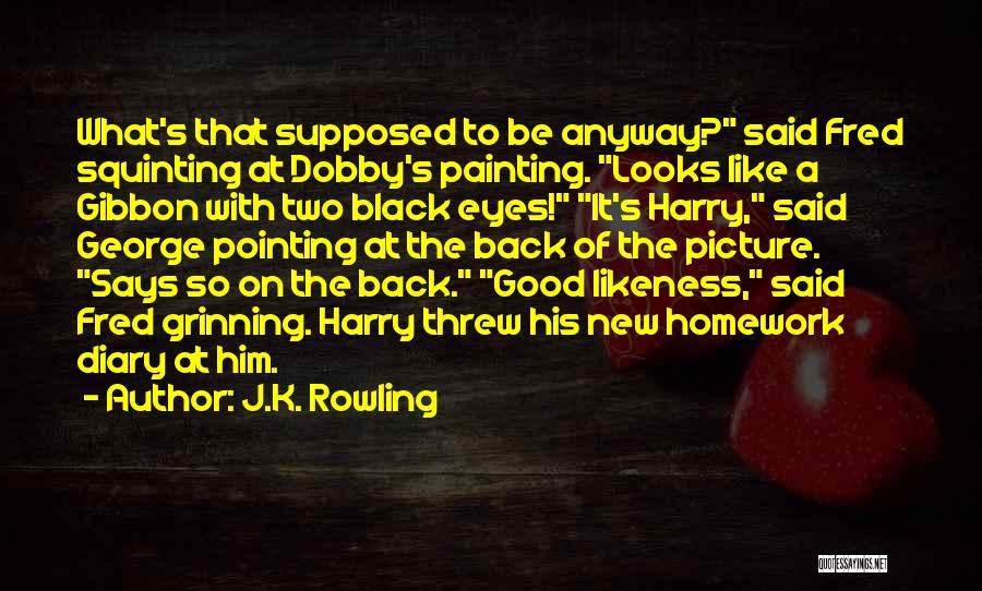 J.K. Rowling Quotes: What's That Supposed To Be Anyway? Said Fred Squinting At Dobby's Painting. Looks Like A Gibbon With Two Black Eyes!