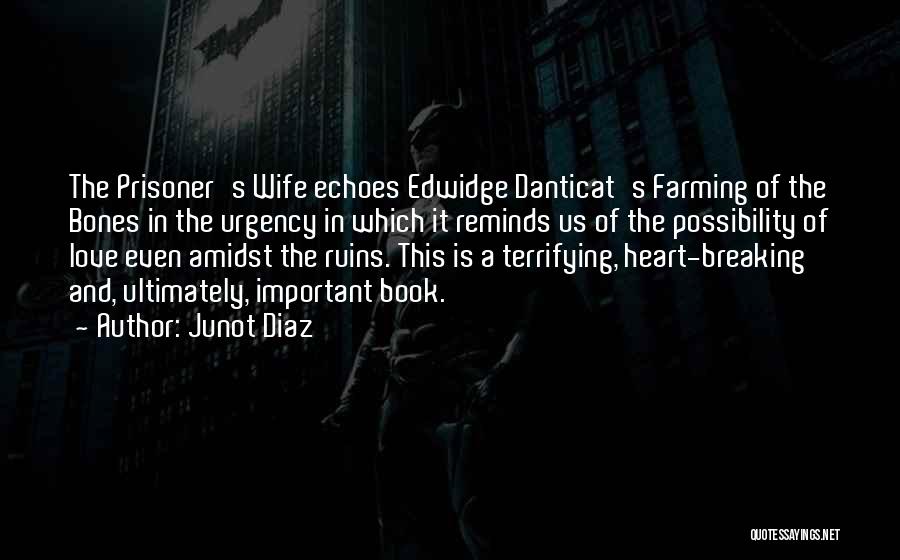 Junot Diaz Quotes: The Prisoner's Wife Echoes Edwidge Danticat's Farming Of The Bones In The Urgency In Which It Reminds Us Of The