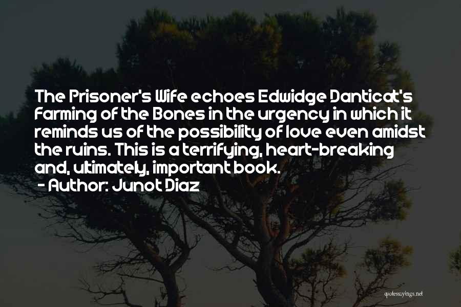 Junot Diaz Quotes: The Prisoner's Wife Echoes Edwidge Danticat's Farming Of The Bones In The Urgency In Which It Reminds Us Of The