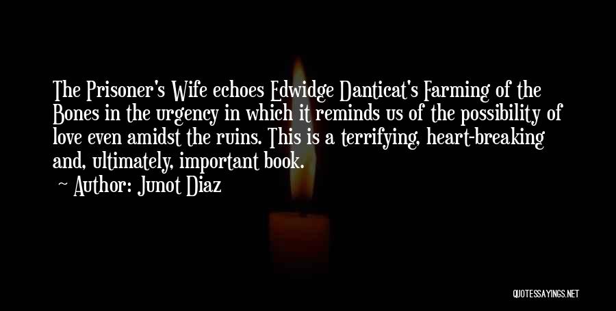 Junot Diaz Quotes: The Prisoner's Wife Echoes Edwidge Danticat's Farming Of The Bones In The Urgency In Which It Reminds Us Of The