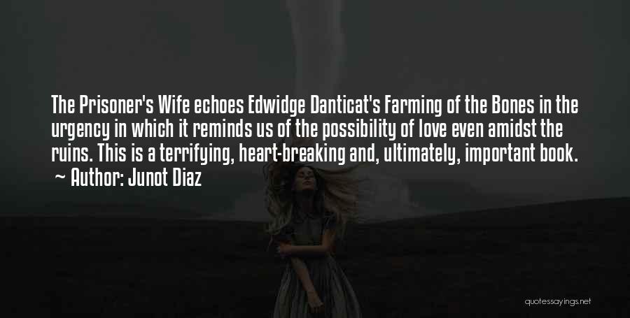 Junot Diaz Quotes: The Prisoner's Wife Echoes Edwidge Danticat's Farming Of The Bones In The Urgency In Which It Reminds Us Of The