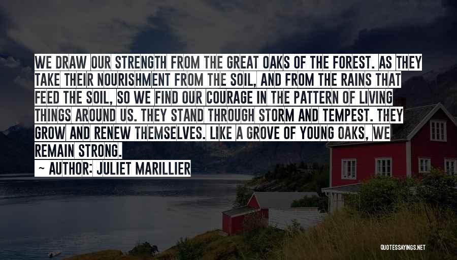 Juliet Marillier Quotes: We Draw Our Strength From The Great Oaks Of The Forest. As They Take Their Nourishment From The Soil, And