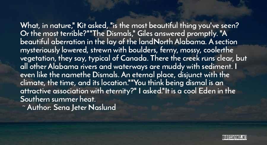 Sena Jeter Naslund Quotes: What, In Nature, Kit Asked, Is The Most Beautiful Thing You've Seen? Or The Most Terrible?the Dismals, Giles Answered Promptly.