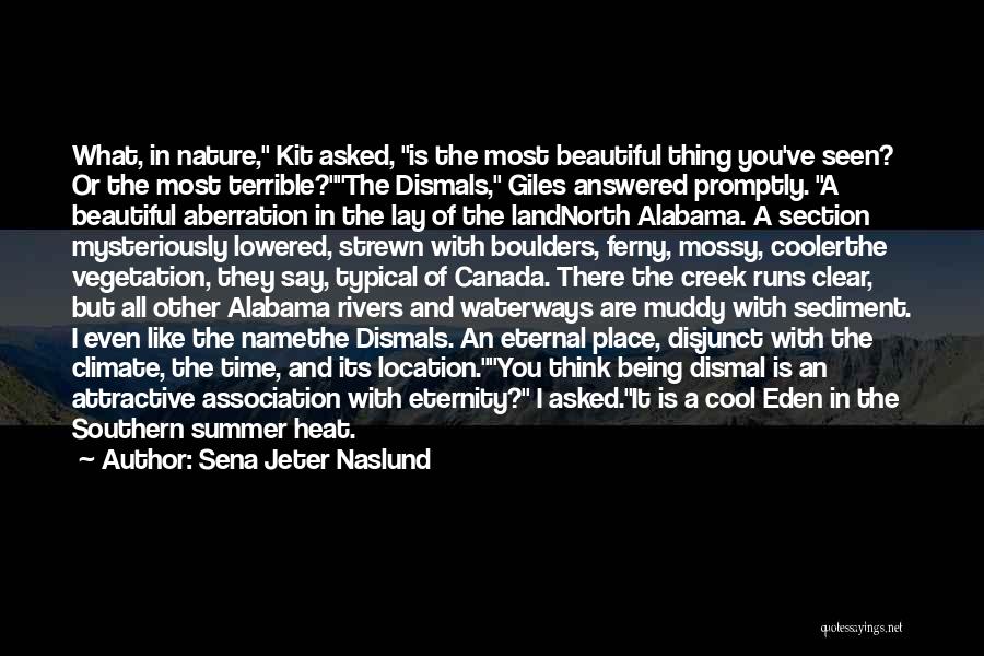 Sena Jeter Naslund Quotes: What, In Nature, Kit Asked, Is The Most Beautiful Thing You've Seen? Or The Most Terrible?the Dismals, Giles Answered Promptly.