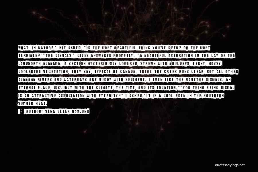 Sena Jeter Naslund Quotes: What, In Nature, Kit Asked, Is The Most Beautiful Thing You've Seen? Or The Most Terrible?the Dismals, Giles Answered Promptly.