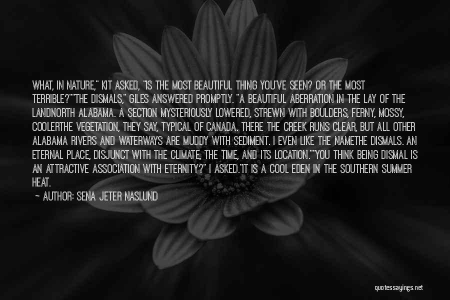 Sena Jeter Naslund Quotes: What, In Nature, Kit Asked, Is The Most Beautiful Thing You've Seen? Or The Most Terrible?the Dismals, Giles Answered Promptly.