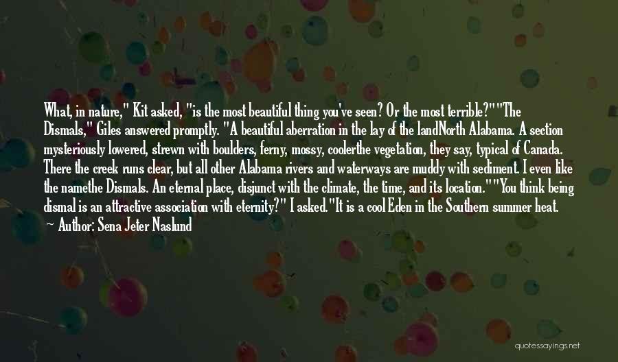 Sena Jeter Naslund Quotes: What, In Nature, Kit Asked, Is The Most Beautiful Thing You've Seen? Or The Most Terrible?the Dismals, Giles Answered Promptly.