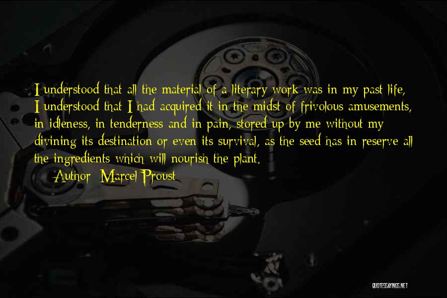 Marcel Proust Quotes: I Understood That All The Material Of A Literary Work Was In My Past Life, I Understood That I Had