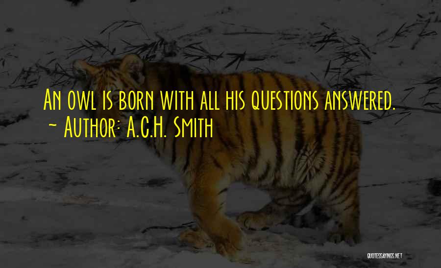 A.C.H. Smith Quotes: An Owl Is Born With All His Questions Answered.