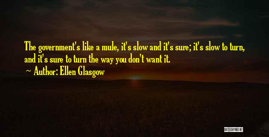 Ellen Glasgow Quotes: The Government's Like A Mule, It's Slow And It's Sure; It's Slow To Turn, And It's Sure To Turn The